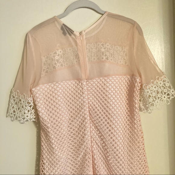 Topshop pink lace maternity shift dress - Picture 5 of 6